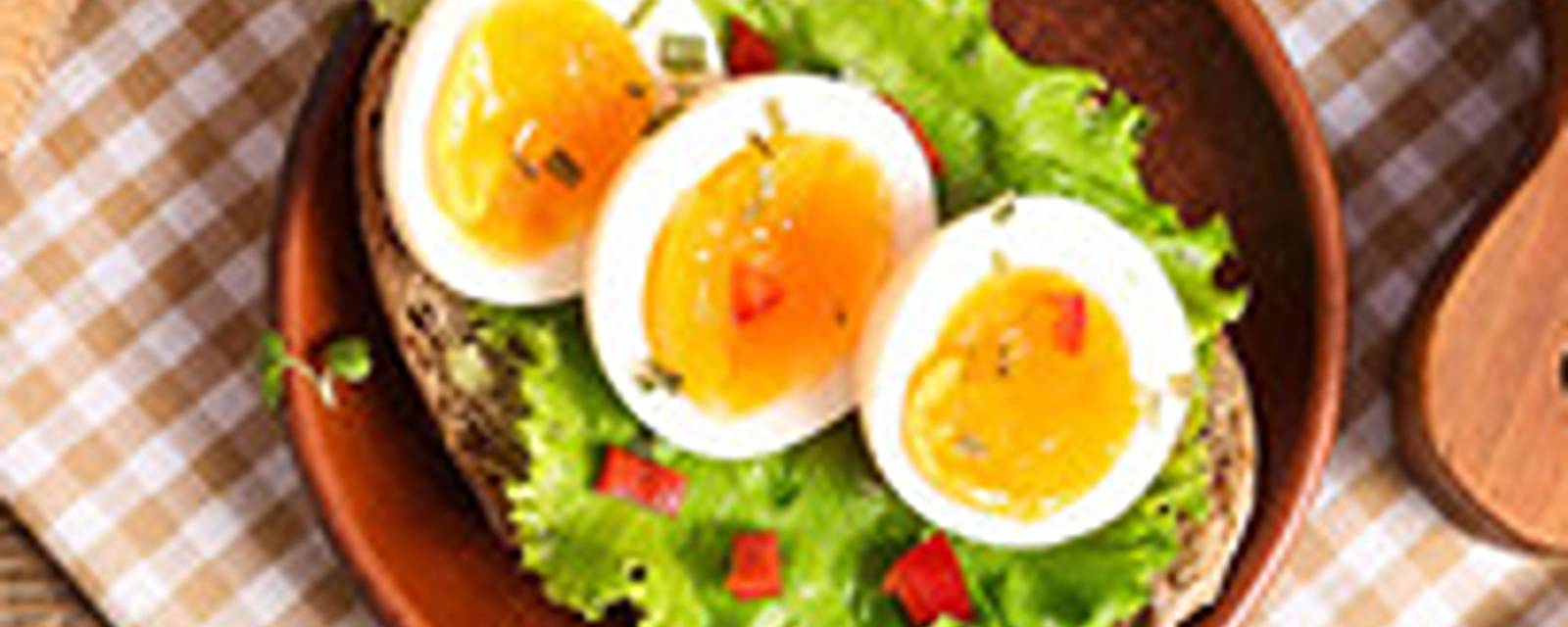 Eggciting Bites cover